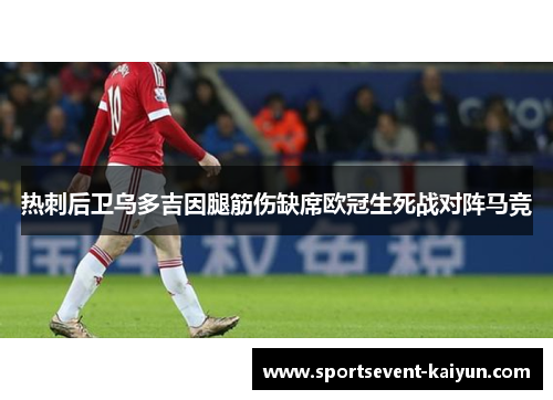 热刺后卫乌多吉因腿筋伤缺席欧冠生死战对阵马竞